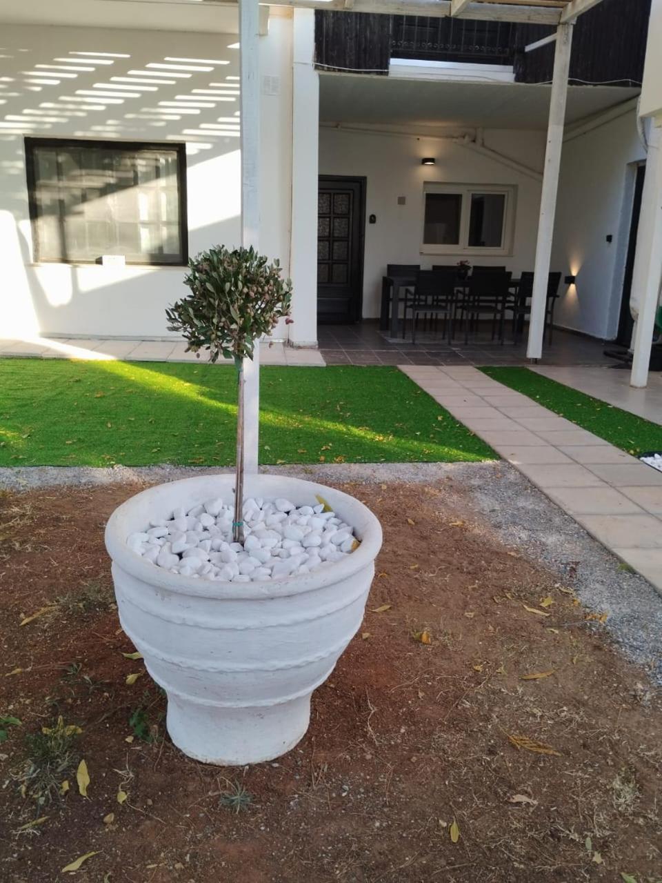 Black N' White Cozy Housegarden Alexandroúpolis Ngoại thất bức ảnh